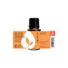 Rocky Mountain Oils - Blood Orange-15ml | Citrus x sinensis |Essential Oil
