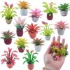 NWFashion Miniature Potted Plants 1:12 Scale Doll House Accessories Tiny Bonsai Model Mini Flowerpot Fake Succulent (30)