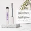 Mascara for Older Women 60 Plus, Prime Mascara, Lengthening & Strengthening Lash Mascara for Mature Women, Volumizing, Long Stay, Hypoallergenic Waterproof Mascara for women over 50 - Black 0.34 FL OZ