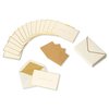 Papyrus Thank You Cards with Envelopes, Gold Border (16-Count)