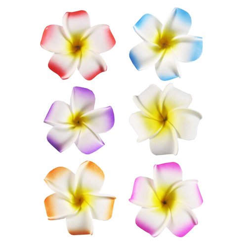 2.5" Hawaiian Hair Flower Clip Hair Barrettes for Women.Match Luau Hawaiian Dresses for Women-6pc Cute Hair Clips for Thin Hair,Hair Clips for Girls,Plumeria Hawaii Hair Accessories for Women