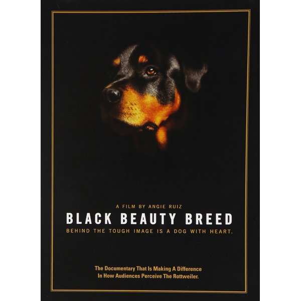 Black Beauty Breed
