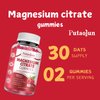 Magnesium Citrate Gummies | Magnesium Supplement for Adults | High Absorption Magnesium Supplement | Vegan, Non-GMO Magnesium Gummies | 60 Raspberry Flavor