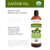 velona USDA Certified Organic Castor Oil - 16 oz (With Pump) | For Hair Growth, Boost Eyelashes, Eyebrows | Cold pressed, Natural Oil, USP Grade | Hexane Free, Lash Serum, Caster