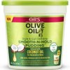 ORS Olive Oil Style and Curl Smooth-N-Hold Pudding
