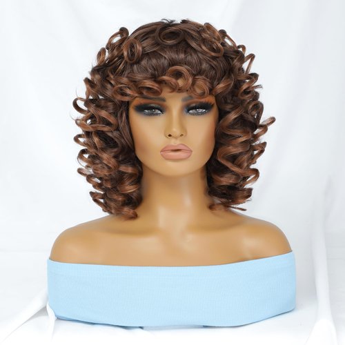 Short Curly Afro Wigs with Bangs for Black Women Afro Kinky Curly Wigs for Black Women Synthetic Heat Resistant Fluffy Wigs Full Machine Made Wig for Black Women 250g (14 Inch, T33-30)
