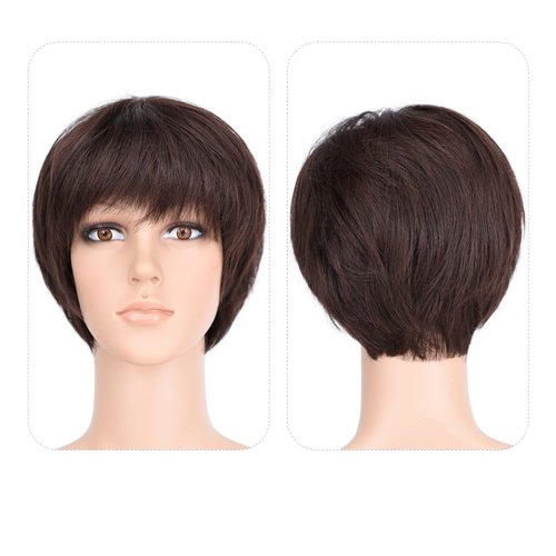 HSPJHTM Short Brown Wig, Short Wigs for Women,Cut Wig with Bangs Hair Wigs Natural Straight Layered Hairstyles for Daily Wear Wig(Free Wig Cap) Dark Brown