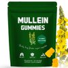 Mullein Gummies for Lung Cleanse, Daily Respiratory Health Gummies Support for Smokers, 2000mg Mullein Leaf herb Extract Supplements- 60 Gummies Per Bag 2 PCS Per Day Green