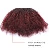 Anrosa Kinkys Curly Clip in Hair Extensions Human Hair 3C 4A Afro Kinky Curly Clip ins Natural Hair Real Remy Thick Human Hair Extensions for Black Women (10 inch, Ombre #1B/99J)
