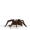 Schleich Wizarding World of Harry Potter Collectible Figurine Aragog for Kids Ages 6+