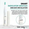 Dale Audrey Ayurvedic Quick Sonic Toothbrush Head Replacement for Adults | DailyClean Toothbrush | (2 Count)