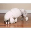 Proselect Stainless Steel Dog Bowl with Rubber Base, 5-1/4-Inch, 16-Ounce