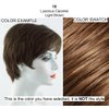 EasiHair Crush Ponytail Color 16/22 Banana Crème Hairpieces 7.5-10" Length Reversible Claw Clip Attachment Synthetic Curly Layered Pony Clip On Bundle MaxWigs Hairloss Booklet