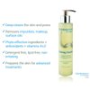 Quintessence Purifying Cleanser