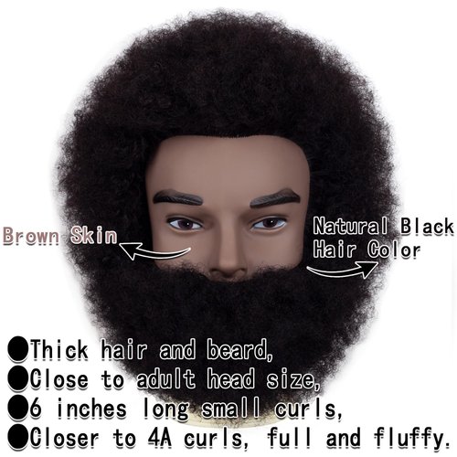 DIRUISI 6"Afro Male Mannequin Head with Beard 100% Human Hair Curly Hair 4A Type for Hairdresser Training Head Cosmetology Afro Hair Manikin Head for Practice Styling Cornrow Braiding with Clamp Stand