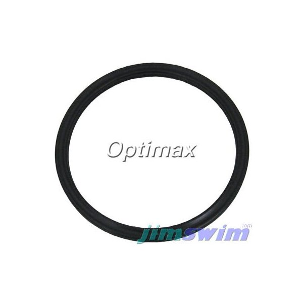 Pentair/Sta-Rite PacFab O-Ring, PacFab/ Diffuser, O-395 #355030