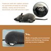 Giveme5 Remote Control Fake Rat Realistic Mouse Cat Toy Mice RC Toy Cat Mice Animal Interactive Toy Figures Cat Running Wheel Wireless Chasing Prank Joke Scary Trick Rats for Cat Funny Toy (Black)