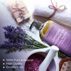 MAJESTIC PURE Lavender Massage Oil - Hydrating, Calming, Warming, Relaxing & Rejuvenating Body Oil - Premium Grade, Made with Natural Oils - Skin Care for Men and Women - Made in USA - 8 fl oz