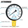 MEANLIN MEASURE 0-100Psi 2" DIAL FACE 1/4" NPT Well Pump Pressure Gauge, with 1/4" x 1/2" NPT and 1/4" x 3/8" NPT Hex Bushing, 3-2-3% Accuracy,Lower Mount