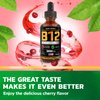 BASIC GREENS Vitamin B12 Sublingual (2 Pack X 2 Fl Oz) - Vegan B12 Methylcobalamin B12 Liquid, Liquid B12, B12 Drops, B 12 Vitamin, Liquid B-12 Vitamin, Cherry Flavor