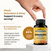 SANDHUHERBALS Organic Ashwagandha Capsules 120 Count | 4 in 1 with Zinc, Black Pepper & Holy Basil Extract | Supports Immune Health | Non-GMO | for Men & Women | 2 Months Supply
