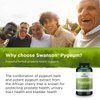 Swanson Pygeum - 400mg Herbal Supplement for Male Prostate Health - Supports Bladder and Urinary Tract Health - 120 Capsules