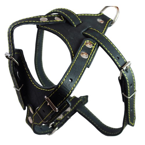 Real Leather Dog Harness, 24.5"-28" Chest size, 3/4" Wide, Dalmatian,
