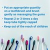 Acess Toothpaste for Oral Care, Herbal Toothpaste For Healthy Teeth and Gums, Pack of 1, Mint Flavor, 4.2 Ounce, Made in Japan