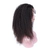 zigzag hair Afro Kinky Curly 13x6 Lace Front Wigs for Black Women Brazilian Pre Plucked Deep Part Lace Front Human Hair Wig 150% Density With Baby Hair (20inch, 150% Density)