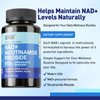 XKQ NAD+ Supplement 910mg, 60 Servings,Take 2 Daily | Nicotinamide Riboside for Healthy Aging, Supports Cellular Energy, Brain, Muscle & Heart Health | NAD Resveratrol, NMN Supplement Alternative