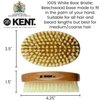 Kent Men's Oval Men Military Hair Brush, 100% Natural Black Boar Bristle for Mens Grooming Hair, Mustache and Beard, Scalp Brush, 360 Wave, Beard Straightener and Facial Brush. Made in England