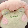 Frog Plush Toys, 10" Cute Frog with Pink Mushroom Hat Stuffed Animals, Kawaii Plushies Gift for Kids Girls Adults Valentines Birthdays Gift (Light Green Body Pink Hat, 10inch)