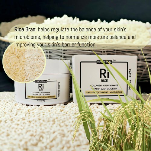 VIGDERMA Rice Facial Light Cream 1.7oz, Rice Bran Essence with Collagen, Niacinamide, Vitamin C, Glowing Look, Improves Moisture Skin Barrier, Nourishes Deeply, K Beauty