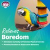 Super Bird Creations SB51122 Disco Fever Bird Toy - for African Greys Parrots Eclectus - Designed with Wooden Blocks & Bell - Stimulating and Interactive Bird Toy - Medium Bird Size, 14.5" x 4" x 4"