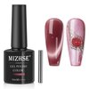 MIZHSE Cat Eye Gel Nail Polish: Red Magnetic Gel Polish with Magnet Stick, Maillard Style Magic Effect Galaxy Shimmer Glitter Holographic Nail Gel Soak Off Nail Art Salon Manicure Home