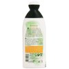 L'Angelica:"Officinalis" Nourishing Shampoo with Royal Jelly and Olive Oil 250ml - 8.45fl.oz [ Italian Import ]