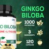 1000mg Ginkgo Biloba Supplements with L-Tyrosine, L-Theanine - 120 Capsules for 2-Month Supply - Support Focus, Mermory Function, Brain Health & Vision Quality