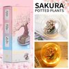 CEACYDIK Sakura Bonsai Building Kit,Flower Botanical Collection Construction Building Toy,Toy Building Block with Glass Cover，Building Blocks Set for Adults and Kids