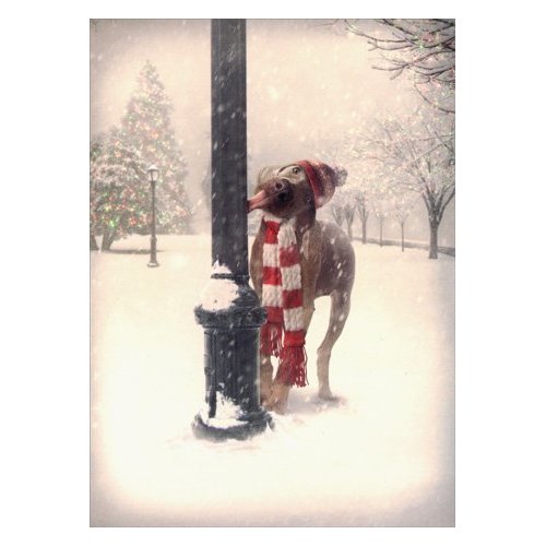 Dog Tongue Stuck on Pole - Box of 10 Funny Avanti Christmas Cards