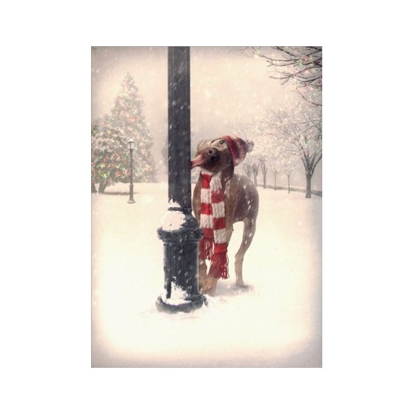Dog Tongue Stuck on Pole - Box of 10 Funny Avanti Christmas Cards