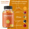 Vitamin C Gummies for Adults & Kids | 5-in-1 Immune System Support with Elderberry, Rosehips, Citrus Bioflavonoids & Acerola Cherry | Vegan VIT C Immunity Booster Supplement Chewable Gummy (2 Pack)