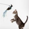 SUBANG 6 Pieces Cat Feather Toys Replacement Cat Toy Wand Refills Cat Toy Replacement Natural Bird Feathers for Cat Toys