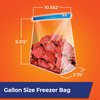 Hefty Slider Freezer Storage Bags, Gallon Size, 25 Count