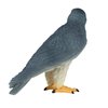 MOJO – Peregrine Falcon | Hand-Painted Toy Figure | Wildlife Collection | True to Life & Highly Detailed | Designed in UK