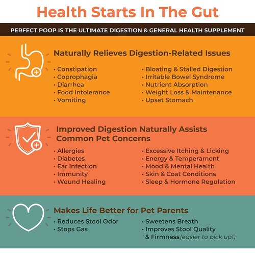 Perfect Poop Digestion & General Health Supplement for Dogs: Fiber, Prebiotics, Probiotics & Enzymes Relieve Digestive Conditions, Optimize Stool, and Improve Health (Cheddar Cheese, 12.8 oz)