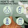 UpNature Breathe Essential Oil Blend - Essential Oils for Diffusers for Home and Humidifiers - Aromatherapy Oils for Breathing Comfort, 2oz