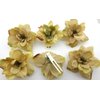 6 pc Lot Beige Tan Apple Blossom Silk Flower Hair Clips