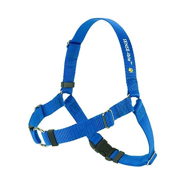 Softouch Sense-ible No-Pull Dog Harness (Blue, Extra Small)