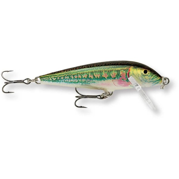 Rapala Countdown 3/16 Oz Fishing lure (Brook Trout, Size- 2)