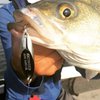 Acme Kastmaster Fishing Lure, Cutthroat, 1/8 oz.